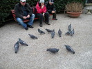 DSCN6733