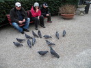 DSCN6734
