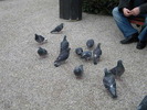 DSCN6736