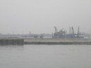 DSCN6808
