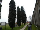 DSCN6814