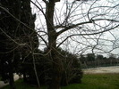 DSCN6815