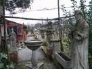 DSCN6823