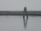 DSCN6843
