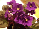 DSC05745