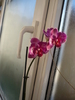 P1060080