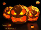 26132066_VYNIDXEXY