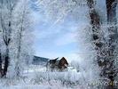 free_snowy_winter_screensaver-53988-1