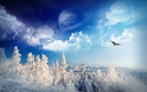 photoshop_winter_wonderland_008178_