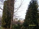 100_8931