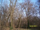 100_8940