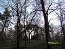 100_8945