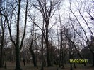 100_8955