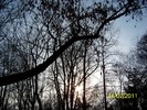 100_8958