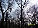 100_8959