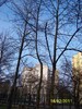 100_8961