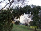 100_8964