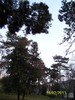100_8965