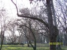 100_8969