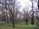 100_8970