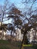 100_8972