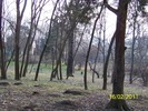 100_8996