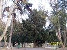 100_8997