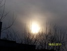 100_9017