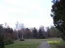 100_9029