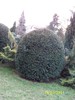 100_9031