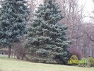 100_9032