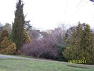 100_9034