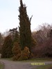 100_9035