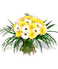 gerbera%20galbena%20si%20alba