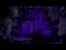 bscap0097