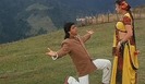 arme-koyla