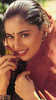 Madhuri Dixit in Saree (25)