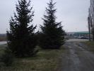 DSCF0195