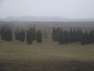 DSCF0233