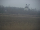 DSCF0245