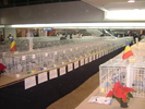 expo fcpr 2010 119