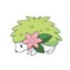 Pok_mon_1255698556_0_1998