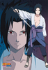 sasuke1234