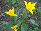 12701989_AOQNYZBPJ