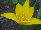 12702007_GMYTNYBBX