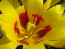 12810754_SLSGQWLTZ