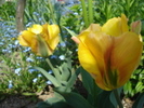 14321290_NBGZVHSWL