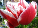 14321381_RNKWBMDBH