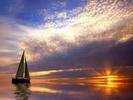 images (40)