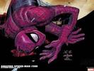 images (13)